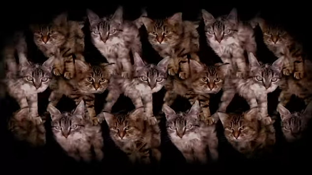 Run The Jewels – Meowpurrdy f. Lil Bub, Maceo & Delonte (Video)